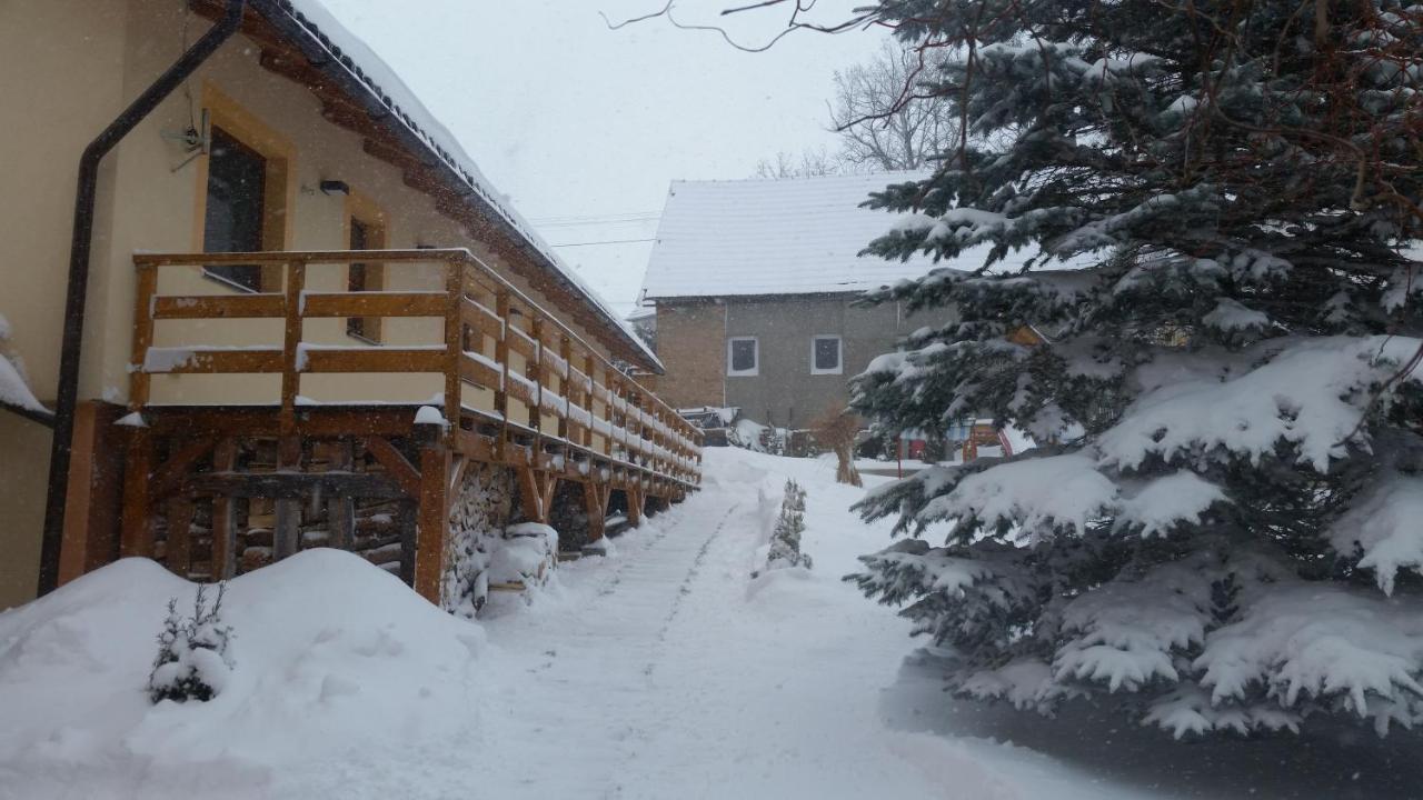 Vila Rhea Važec Exterior foto